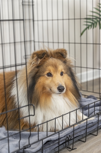Trixie Home Kennel Zwart 93x62x69 cm — Veilige plek voor jouw hond