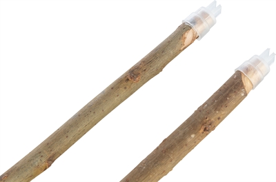 Trixie Zitstokken Schorshout 55 cm 4x2 st
