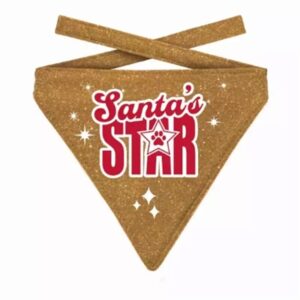 Plenty Gifts Kerst Bandana Santa's Star Glitter Goud 12-16 CM 10x13 CM