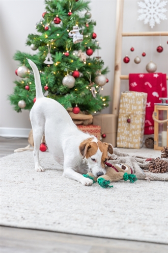 Trixie Xmas Luiaard Pluche Flostouw 30 cm Hondenspeeltje