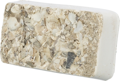 Trixie Piksteen Met Schelpen En Mosselen 30 GR