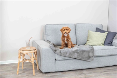 Trixie Hondendeken Levy Pluche Grijs 100x70 cm — Comfortabele ligplek voor je hond