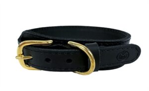 Sazzz Halsband Hond Leer Zwart 42-50x3,5cm