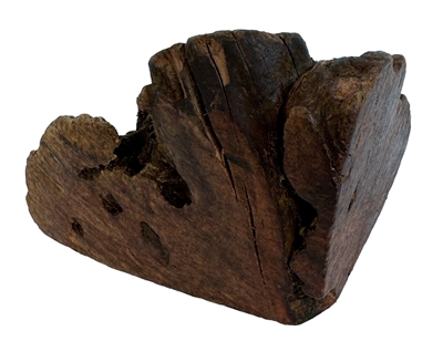 Dog Woodzzz Kauwwortel Olijfolie M 301-500 gr