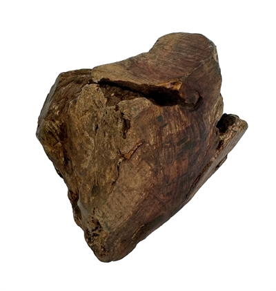 Dog Woodzzz Kauwwortel Olijfolie XL 751-1000 GR