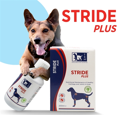 TRM Stride Plus 200 ML - Voedingssupplement voor honden gewrichten