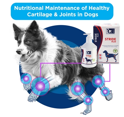 TRM Stride Plus 500 ML - Voedingssupplement voor honden gewrichten