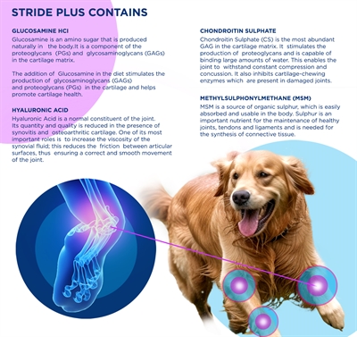 TRM Stride Plus 500 ML - Voedingssupplement voor honden gewrichten