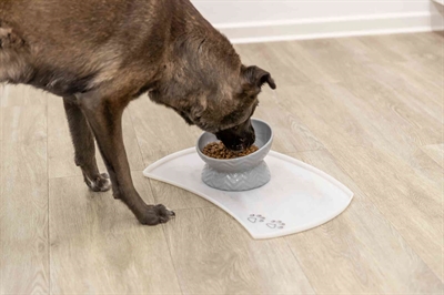 Trixie Verhoogde Voerbak Keramiek Grijs 350 ML 17 CM