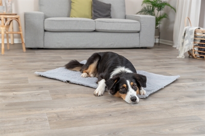 Trixie Hondendeken Reisdeken Amy Grijs 150x100 cm — Comfortabele reisgenoot voor je hond