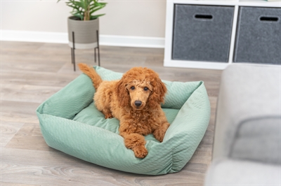 Trixie Hondenmand Alena Hoekig 60x50 cm — Comfortabele plek voor jouw hond