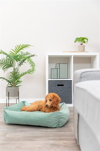 Trixie Hondenmand Alena Hoekig 80x60 cm — Comfortabele plek voor jouw hond