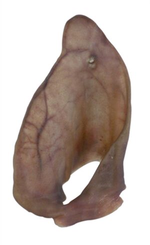 Petsnack Varkensoren 11 ST