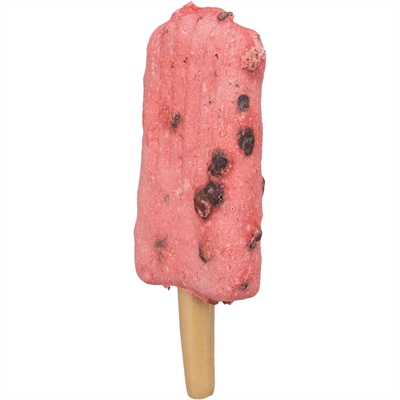 Trixie Ice Pop Hondensnack Rood 55 GR