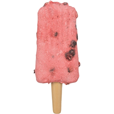 Trixie Ice Pop Hondensnack Rood 55 GR