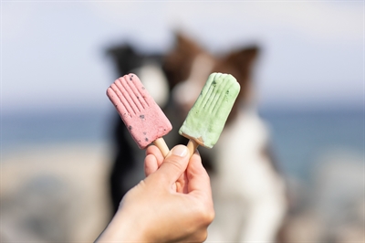 Trixie Ice Pop Hondensnack Rood 55 GR