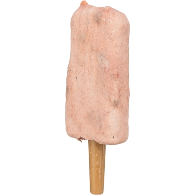 Trixie Ice Pop Hondensnack Kipsmaak 55 GR