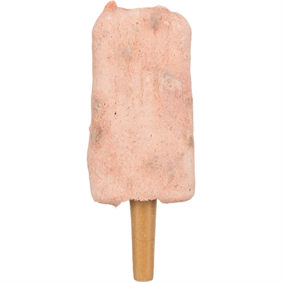 Trixie Ice Pop Hondensnack Kipsmaak 55 GR