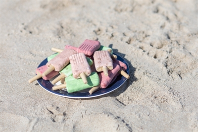Trixie Ice Pop Hondensnack Kipsmaak 55 GR