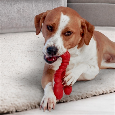 Nylabone Extreme Chew Kauwspeeltje Lobster Filet Mignon XL 23+ kg