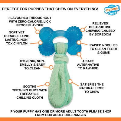 Nylabone Puppy Freezer Bone Pindakaassmaak M tot 16 kg