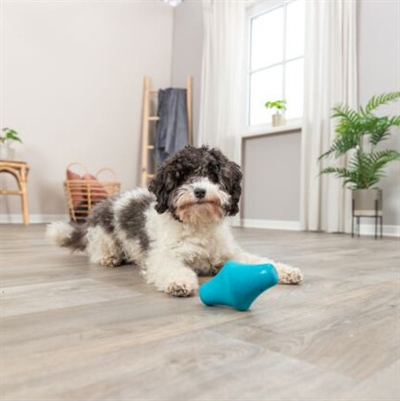 Trixie Snacktol Natuurrubber 12 cm 3 st voor honden
