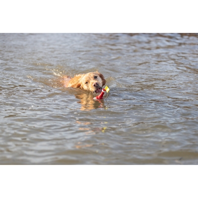 Trixie Aqua Snack Boei TPR 19 cm voor honden