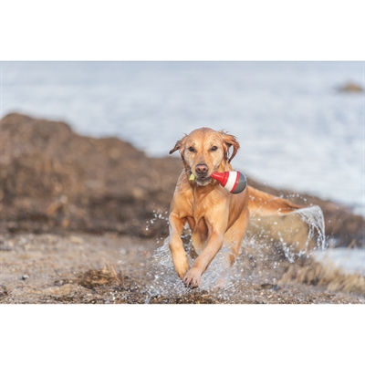 Trixie Aqua Snack Boei TPR 19 cm voor honden
