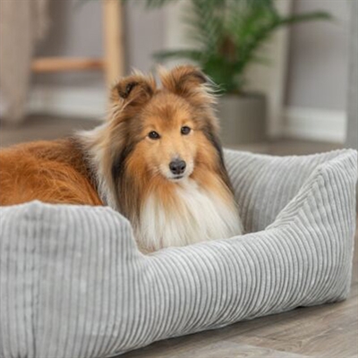 Trixie Hondenmand Vital Jonna Ribfluweel 60x50 cm — Comfortabele rustplek voor je hond