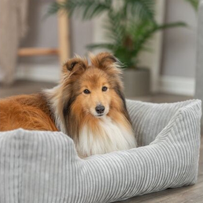 Trixie Hondenmand Vital Jonna Ribfluweel 80x60 cm — Een knusse plek voor je hond