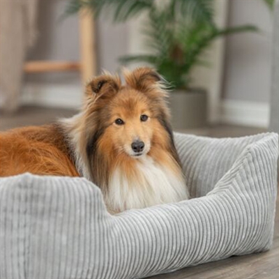 Trixie Hondenmand Vital Jonna Ribfluweel 100x70 cm — Comfortabele rustplek voor je hond
