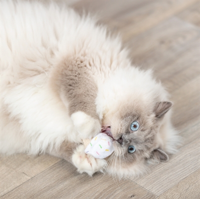 Trixie Pluche Ijsje/Cupcake Met Catnip 7 cm Assorti