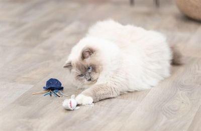 Trixie Zeedier Pluche Met Catnip 5-8 cm Assorti