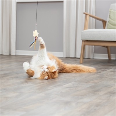 Trixie Kattenhengel Ster Pluche met Catnip 46 cm