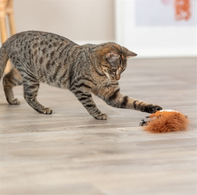 Trixie Eekhoorn Pluche Met Veerstaart 24 CM Catnip