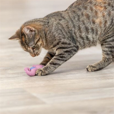 Trixie Zeepaard Pluche Catnip 11 cm Assorti