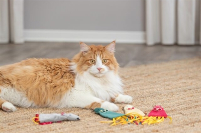 Trixie Pluche Muis met Catnip Assorti 25 cm