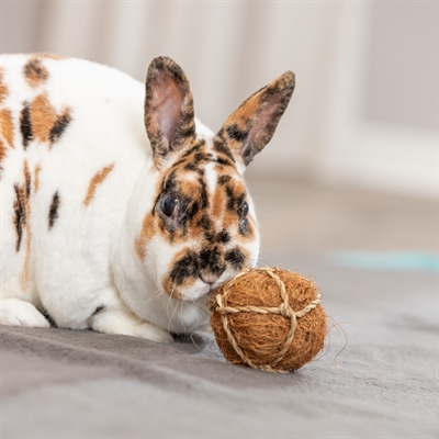 Trixie Kokosbal 6 cm voor knaagdieren en konijnen