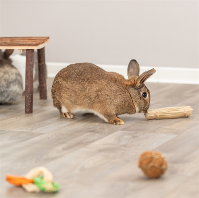Trixie Grasspeelgoed voor Knaagdieren 16x3,5x3,5 CM