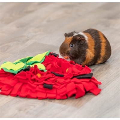 Trixie Snuffelmat Aardbei Rood 40x33 cm voor knaagdieren