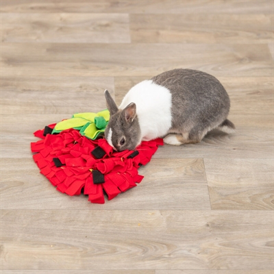 Trixie Snuffelmat Aardbei Rood 40x33 cm voor knaagdieren