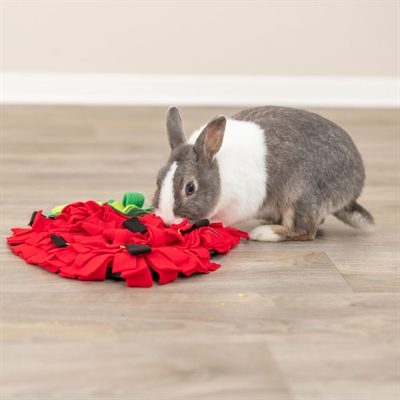 Trixie Snuffelmat Aardbei Rood 40x33 cm voor knaagdieren