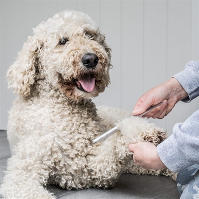 Mikki Doodle Grooming Kit met Kam en Slickerborstel