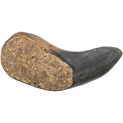 Trixie Buffelhoorn Met Buffelpees 10-14 CM 6 ST