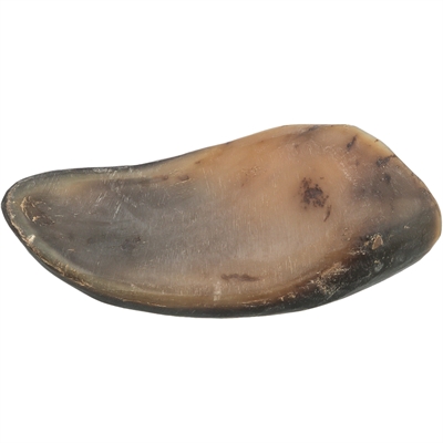 Trixie Buffelhoorn Met Buffelpees 10-14 CM 6 ST