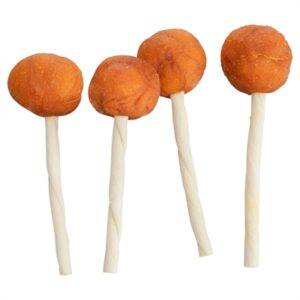 Trixie Premio Lolly Kabeljauw 9 cm 60 st