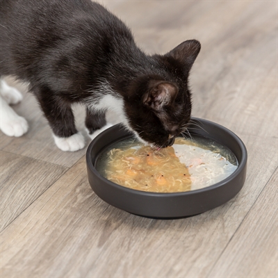 Trixie Soep met Kip en Garnalen 4x80 gr