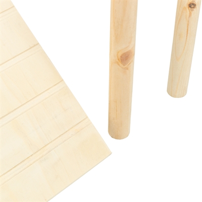Trixie Platform met Helling voor Muizen/Hamsters 47x30x25 cm