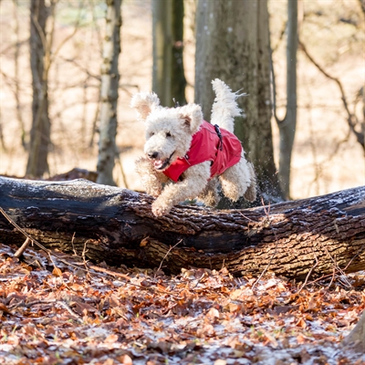 Trixie Regenjas Hond Vimy Rood 62 cm, Buik 78-82 cm