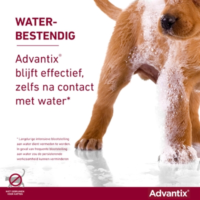 Elanco Advantix Spot On 600/3000 40+ KG - 4 Pipetten